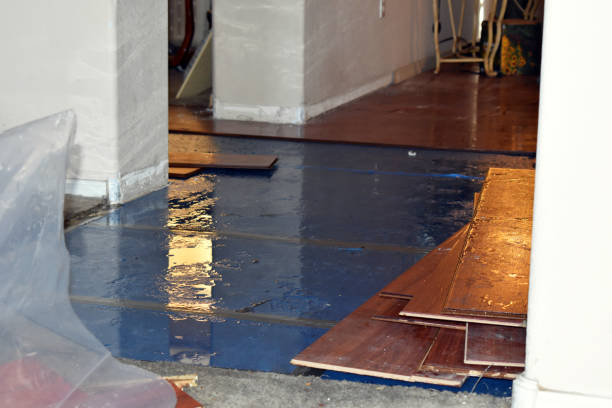 Professional Basement Flood Cleanup technician working in Locust Grove, GA